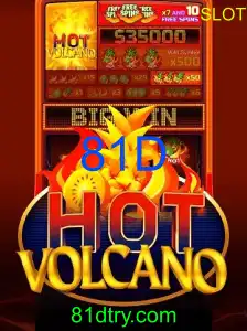 81D Cassino Online